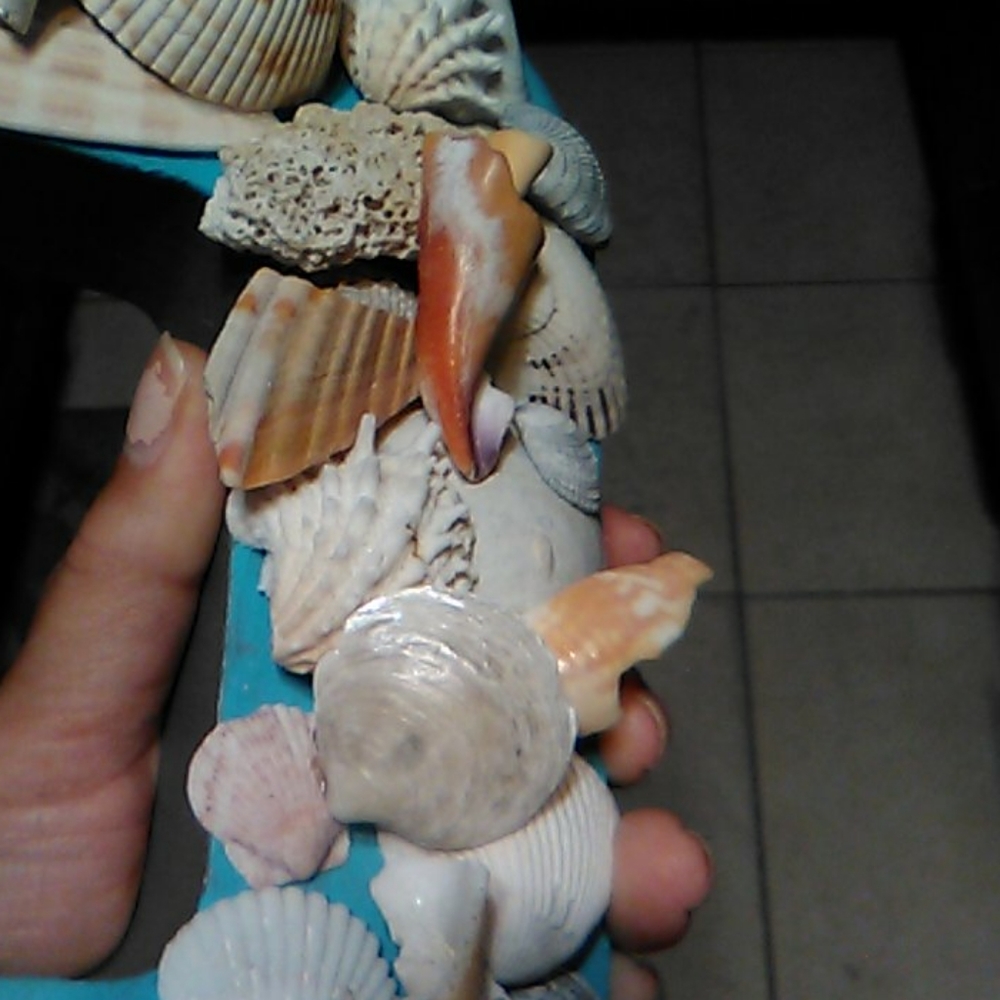 Shell Shelf Sitter - Picture 13 of 14